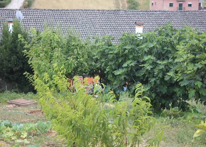 Casa Do Campo Campo de Víboras